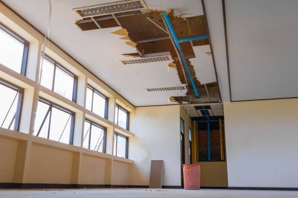 Best Sewage cleanup and water damage restoration  in Rock Port, MO