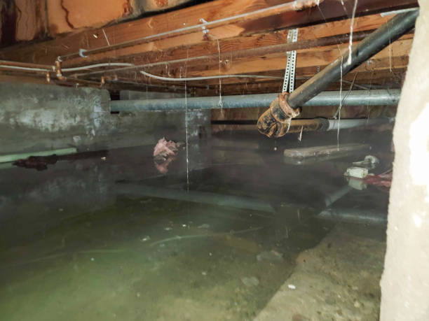 Sewage cleanup and water damage restoration in Rock Port, MO