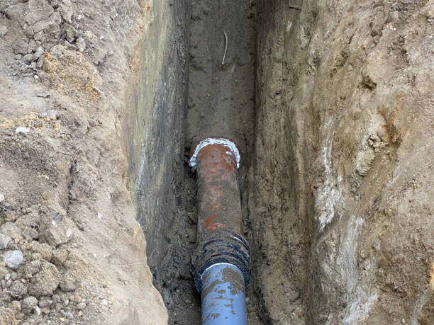 Best Local water damage restoration  in Rock Port, MO