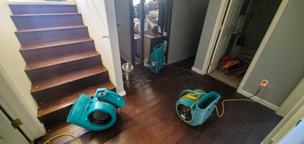 Best Water damage restoration near me  in Rock Port, MO