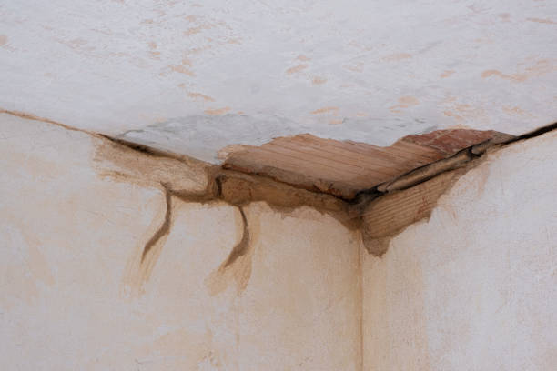 Best Commercial water damage restoration  in Rock Port, MO
