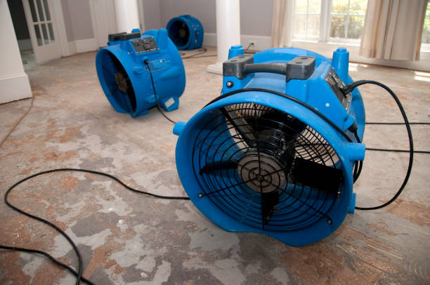 Best Sewage cleanup and water damage restoration  in Rock Port, MO