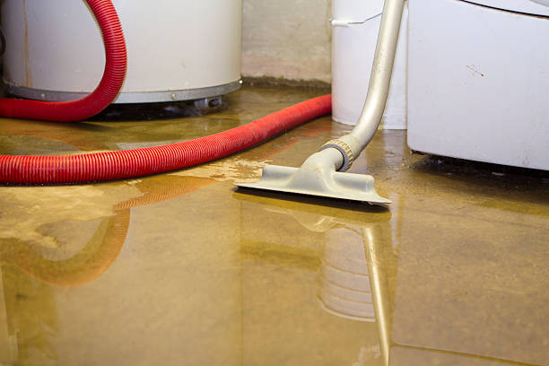 Best Basement water damage restoration  in Rock Port, MO