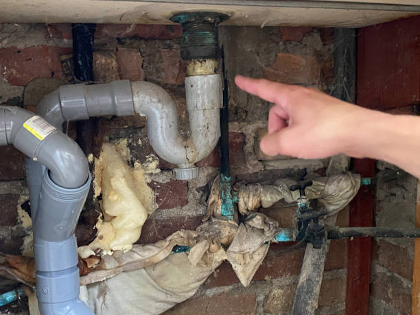 Best Residential water damage restoration  in Rock Port, MO