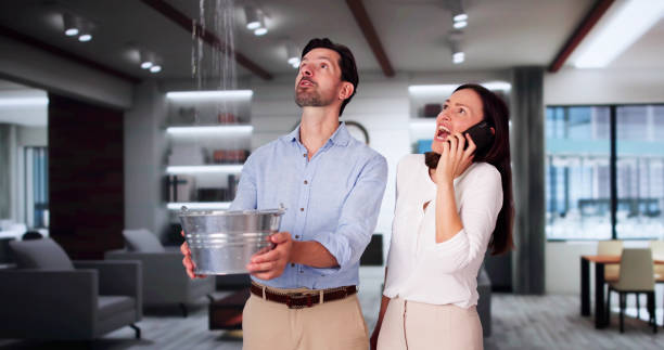 Best Water damage repair service  in Rock Port, MO