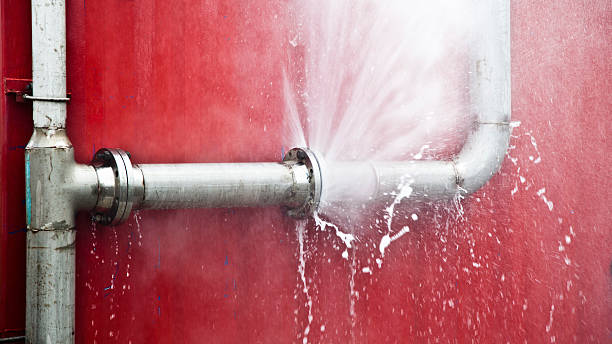  Rock Port, MO Water damage restoration Pros