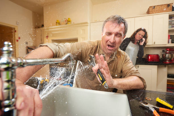 Best Flood restoration services  in Rock Port, MO